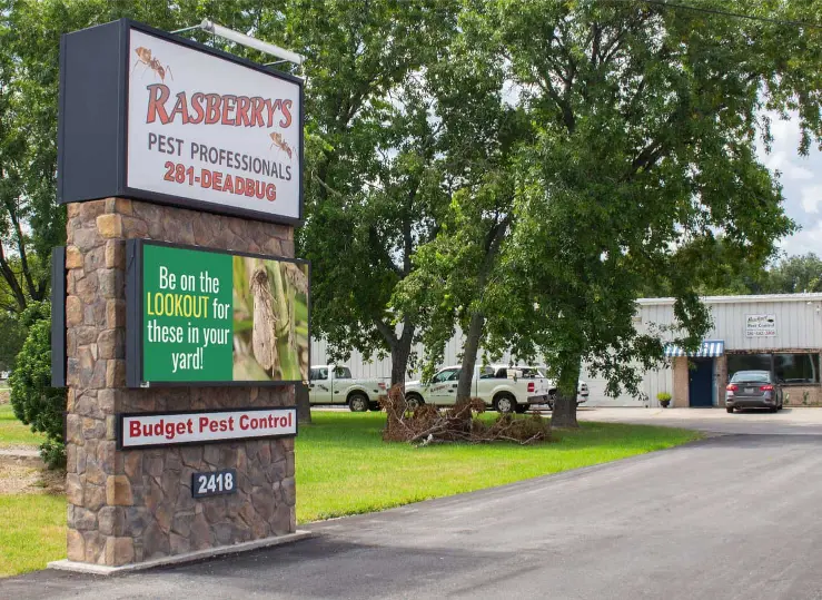 Rasberrys-Pest-ControlArtboard-1